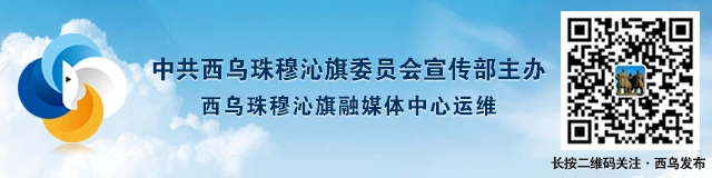 如何设计个性化的篮球训练方案_0